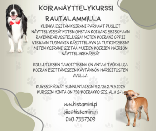 Koiranayttelykurssi_Rautalammilla3.png